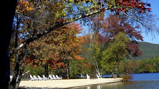 Illustration for article titled Shooting Challenge Fall Leaves Gallery 1